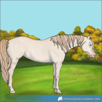Horse Color:Smoky Creme Dun  and Perlino Dun 