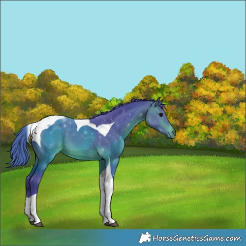 Horse Color:Watercolor Brown Tobiano 