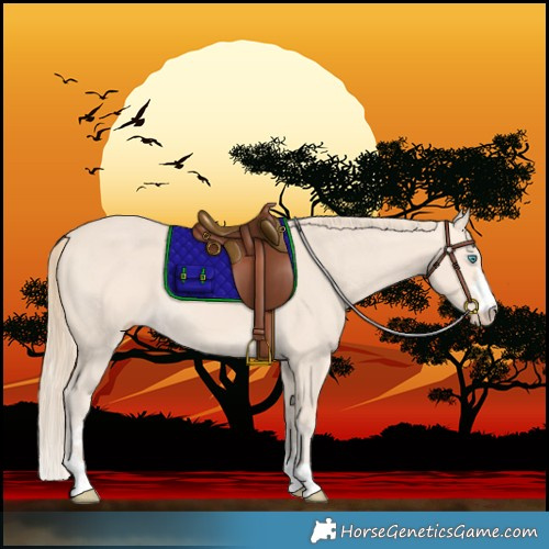 Horse Color:Perlino 