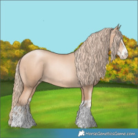 Horse Color:Gold Champagne Pearl Rabicano  and Gold Champagne Pearl Splash Rabicano 