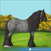 Horse Color:Smoky Blue Roan 