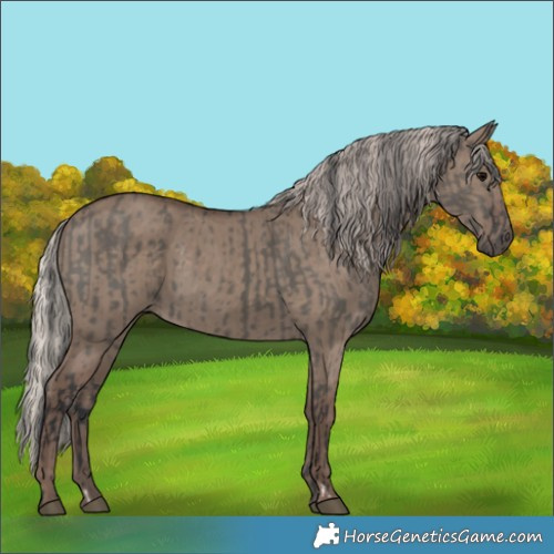 Horse Color:Grullo  and Silver Grullo 