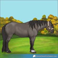 Horse Color:Smoky Grullo  and Smoky Grullo 