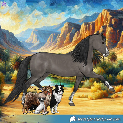 Horse Color:Grullo and Grullo Splash
