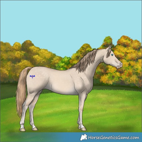 Horse Color:Perlino Dun