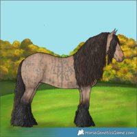 Horse Color:Grullo and Bay Dun