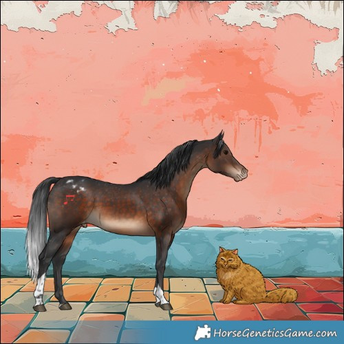 Horse Color:Brown Tobiano Appaloosa Rabicano 