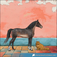 Horse Color:Brown Tobiano Appaloosa Rabicano