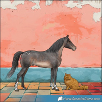 Horse Color:Brown Tobiano Appaloosa Rabicano 