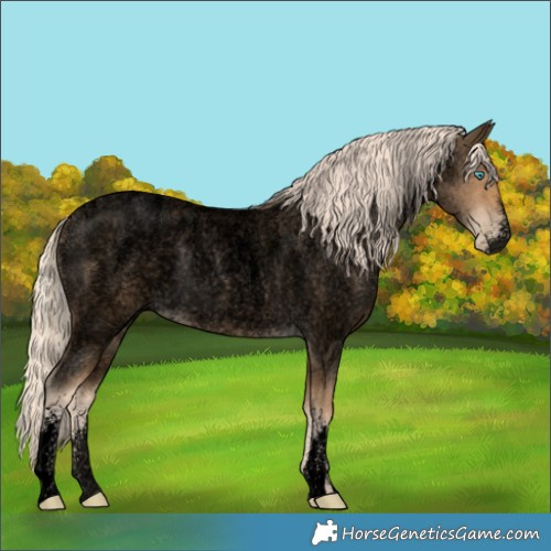 Horse Color:Powder White Void Chocolate Palomino Roan Pearl 