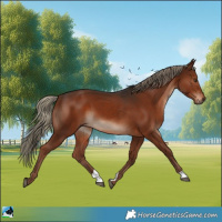 Horse Color:Liver Chestnut Mushroom 