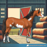 Horse Color:Bay Frame 