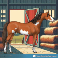 Horse Color:Bay Frame 