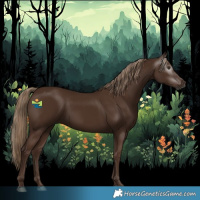Horse Color:Gray Chestnut 