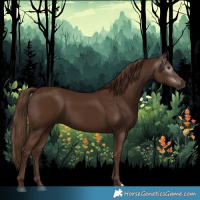 Horse Color:Gray Chestnut 