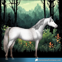 Horse Color:Gray Chestnut