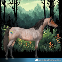Horse Color:Bay Roan 