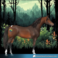 Horse Color:Bay Tobiano 
