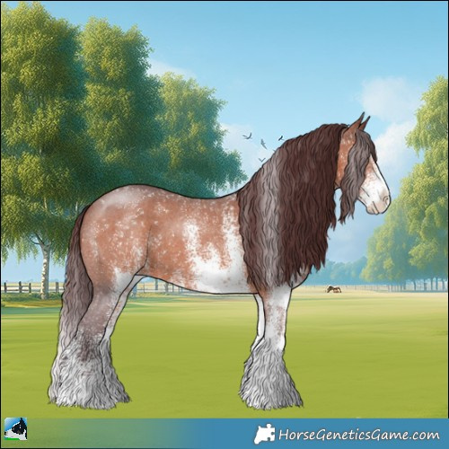 Horse Color:White Spotted Chocolate Brown 