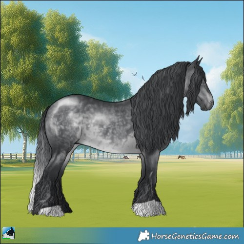 Horse Color:Brown Chinchilla