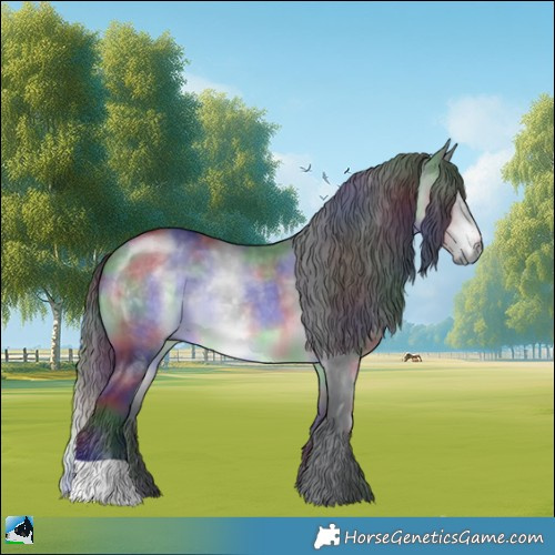 Horse Color:Nacre Brown Chinchilla 