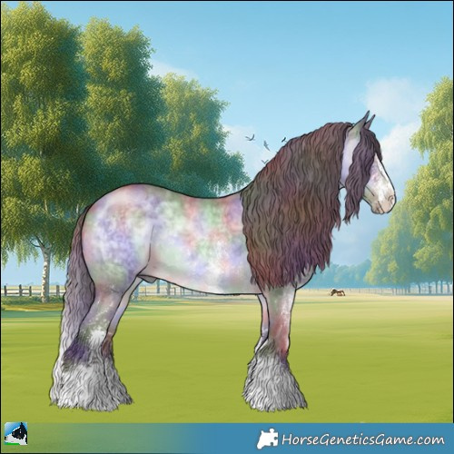 Horse Color:Nacre Chocolate Brown Chinchilla Sabino Rabicano 