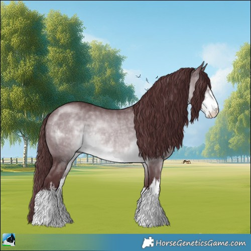 Horse Color:White Spotted Chocolate Brown Chinchilla Rabicano 
