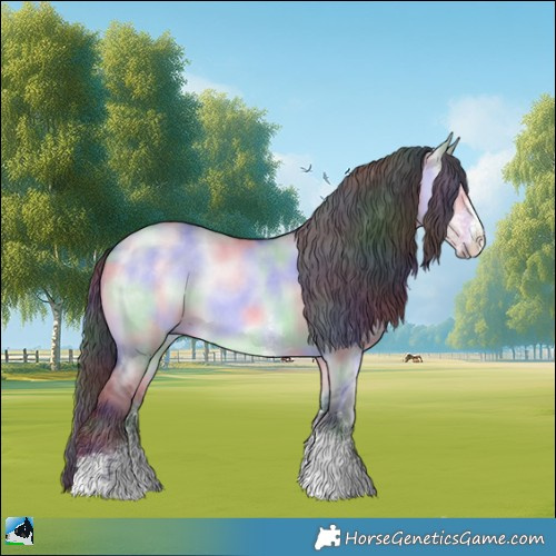 Horse Color:Nacre Brown Chinchilla Dun Sabino Rabicano 