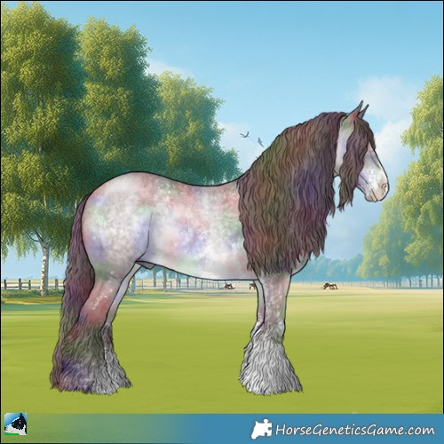 Horse Color:Nacre Chocolate Brown Chinchilla Sabino Rabicano 