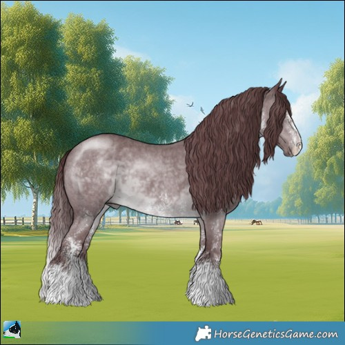 Horse Color:Chocolate Brown Chinchilla Sabino 