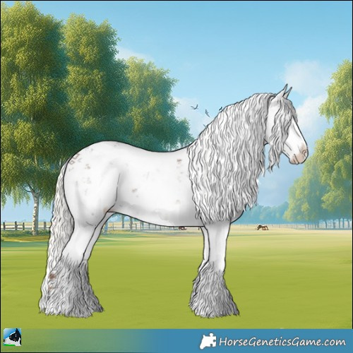 Horse Color:Liver Red Dun Mushroom Sabino Rabicano Brindle 