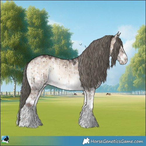 Horse Color:Liver Red Dun Onyx Mushroom Sabino Rabicano Brindle 