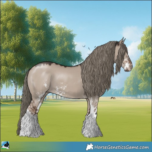 Horse Color:Liver Red Dun Mushroom Sabino 