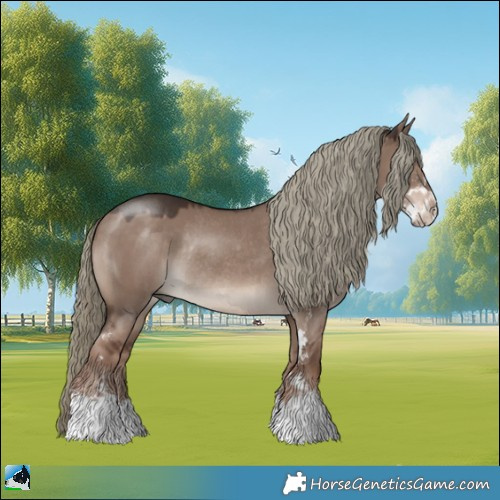 Horse Color:Liver Red Dun Mushroom Sabino Rabicano 