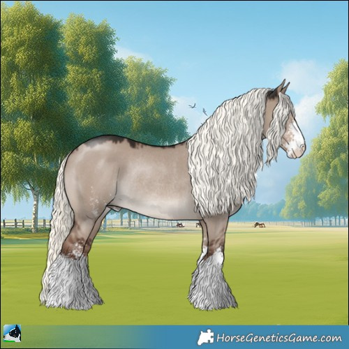 Horse Color:Liver Red Dun Mushroom Sabino Rabicano 
