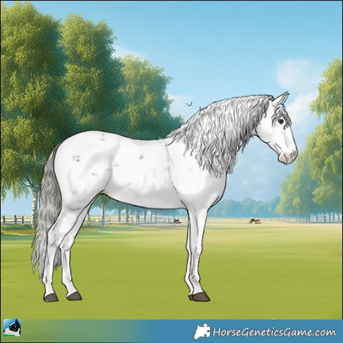Horse Color:Liver Red Dun Ice Mushroom Sabino Rabicano