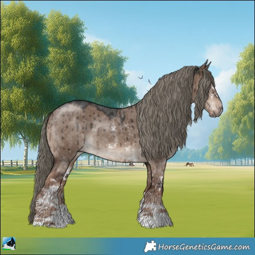 Horse Color:Liver Red Dun Mushroom Sabino Rabicano Brindle 