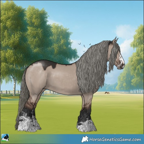 Horse Color:Liver Red Dun Mushroom Sabino 