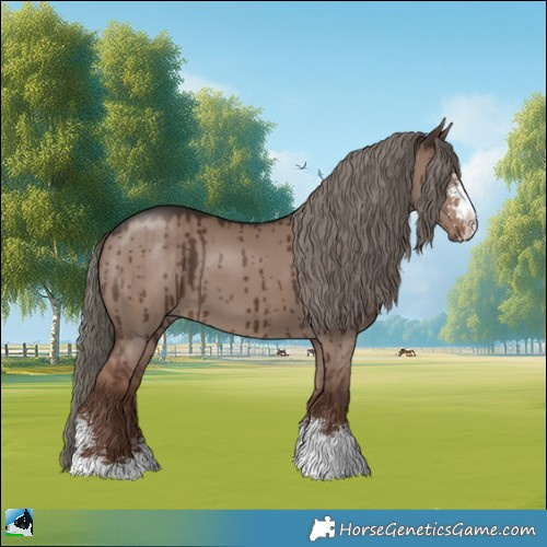 Horse Color:Liver Red Dun Mushroom Sabino Brindle
