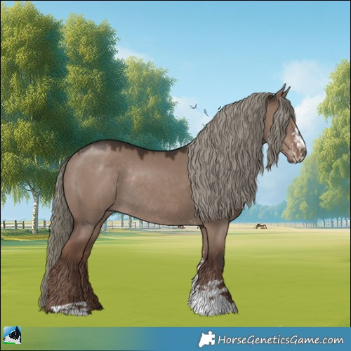 Horse Color:Liver Red Dun Mushroom Sabino Rabicano 