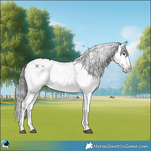 Horse Color:Liver Red Dun Onyx Mushroom Sabino Rabicano Brindle 