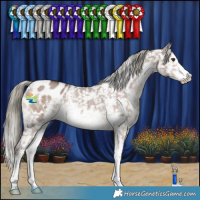 Horse Color:Liver Red Dun Mushroom Sabino Snowflake Varnish 