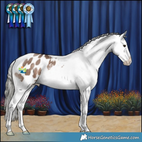 Horse Color:Liver Red Dun Mushroom Appaloosa Brindle 