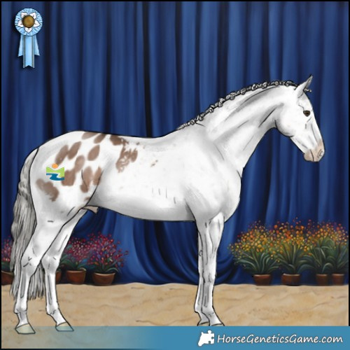 Horse Color:Liver Red Dun Mushroom Appaloosa Brindle 