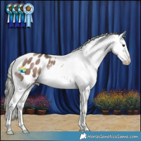 Horse Color:Liver Red Dun Mushroom Appaloosa Brindle 