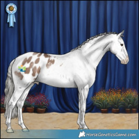 Horse Color:Liver Red Dun Mushroom Appaloosa Brindle 