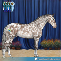 Horse Color:Liver Red Dun Mushroom Snowflake Varnish Brindle