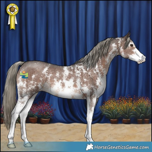 Horse Color:Liver Chestnut Mushroom Sabino 