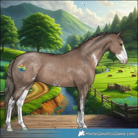 Horse Color:Liver Red Dun Mushroom Sabino 