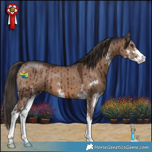 Horse Color:Liver Red Dun Sabino Brindle 